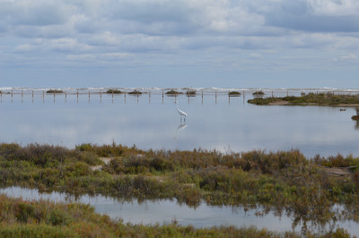 Ebro delta - Spanje