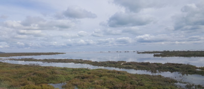 Ebro delta - Spanje