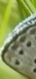Screenshot_20211118-185330_Chrome.jpg