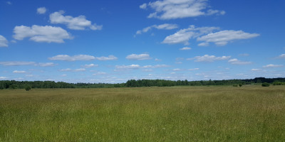20180606_151323.jpg