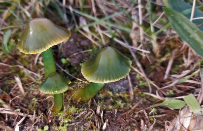 20211112_135601.jpg