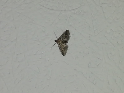 IMG_20220128_080735.jpg
