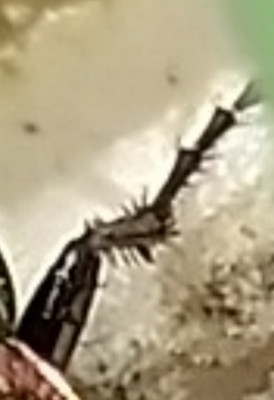 Screenshot_20220412_225833.jpg
