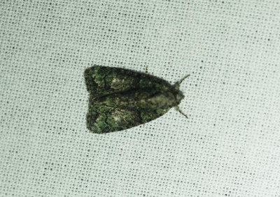 201582421_1.jpg