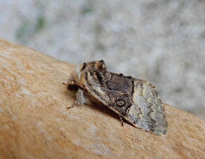 DSCN7158.JPG