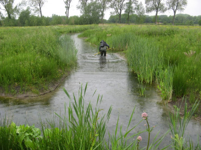 A 111680813_3 Kroeskarper habitat.jpg