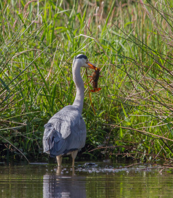 IMGL6276 fb, WANDELEN EN FOTOGRAFEREN.jpg