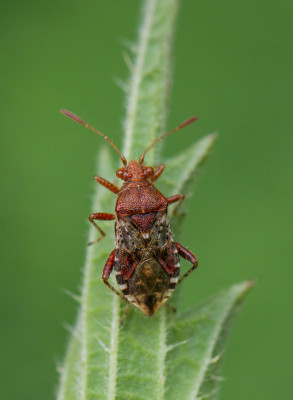 IMGL8124-2.jpg