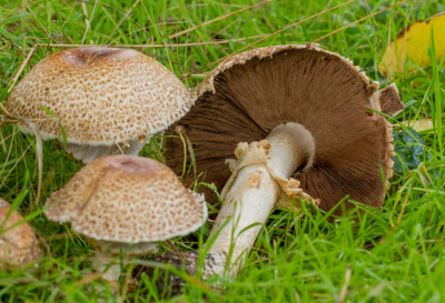 ADH_9185 WANDELEN EN FOTOGRAFEREN.jpg