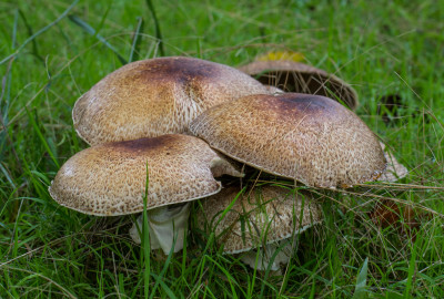 ADH_9175 WANDELEN EN FOTOGRAFEREN.jpg
