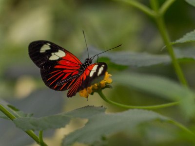 ADH_0160.jpg