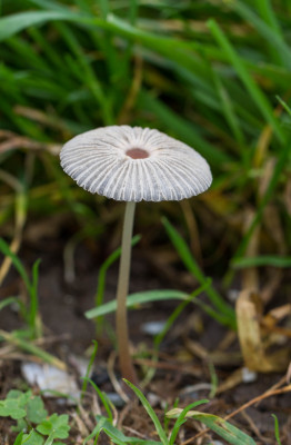 ADH_0615.jpg