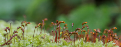 ADH_0744.jpg