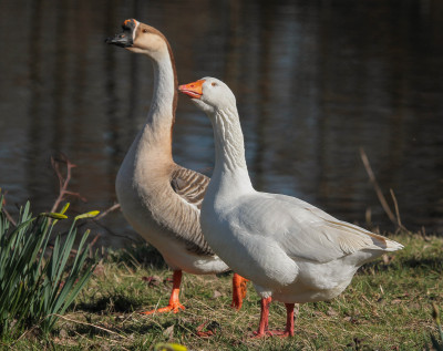20150311_270.jpg