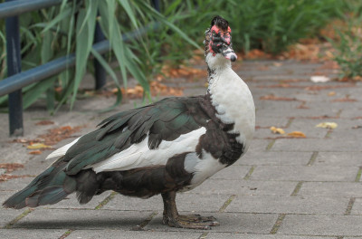 20130825_103.jpg