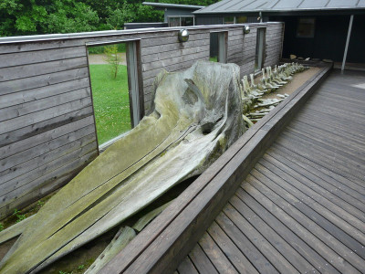2010-grammuseet-07.jpg